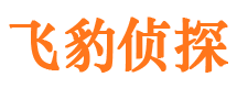 中方市侦探调查公司